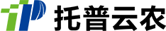 公司架构