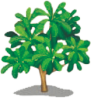 植物保护
