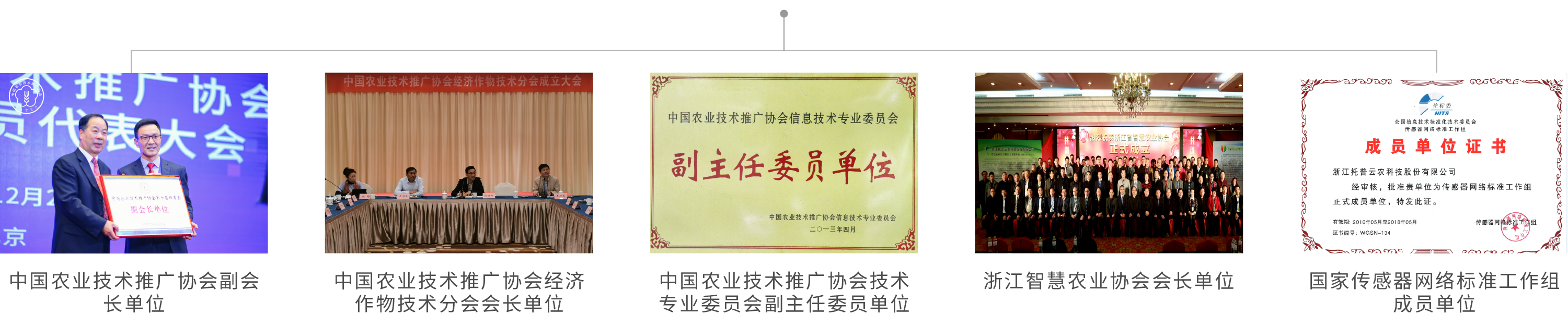 浙江g22恒峰国际科技股份有限公司