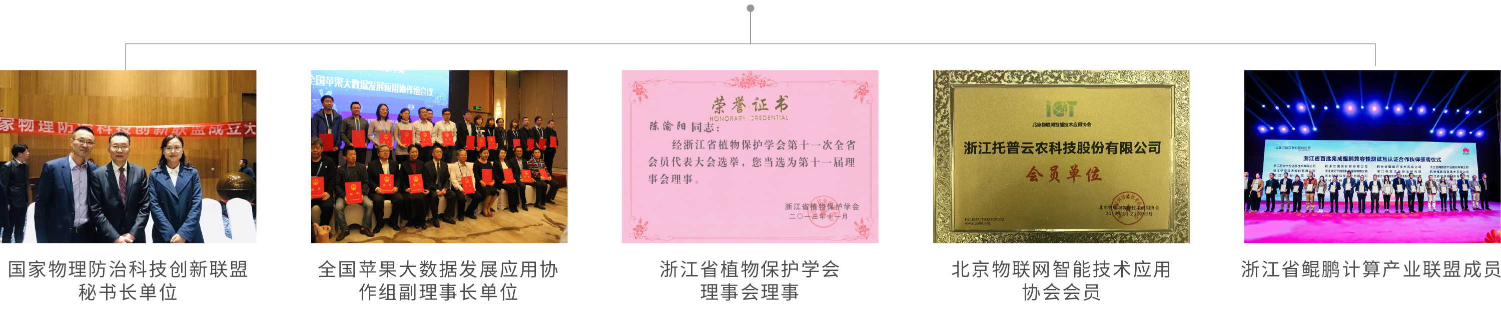 浙江g22恒峰国际科技股份有限公司